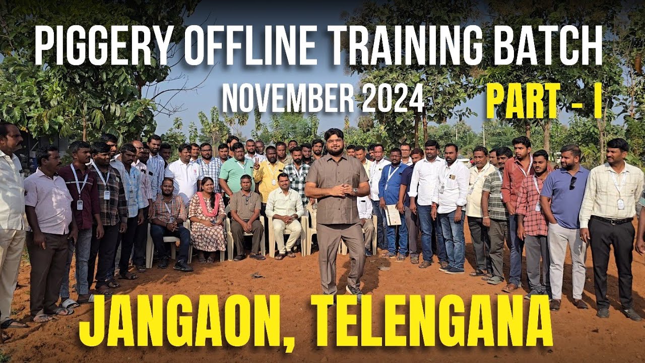Pig Farming Training Review Nov. 2024|| Hindi _Telugu_Kannada Language #swastikpigfarm #piggery #pig