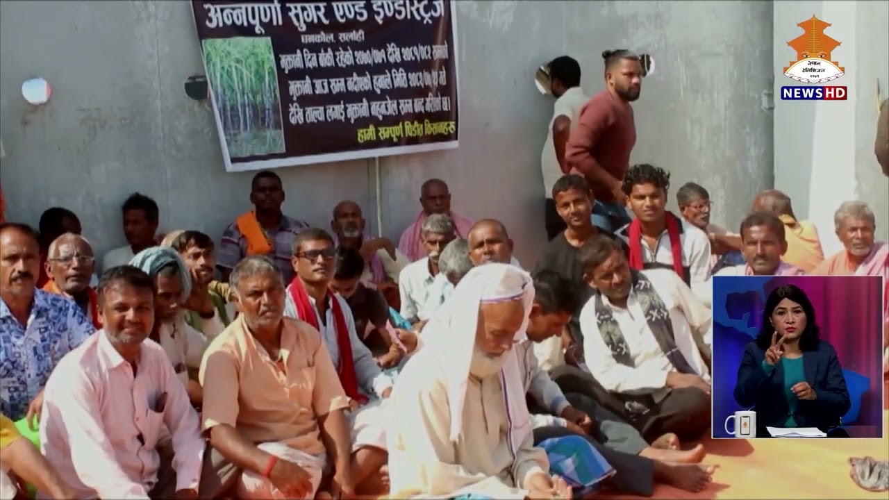 अन्नपूर्ण चिनी उद्योगबाट पाउनुपर्ने उखुको बक्यौता रकम माग गर्दै किसानहरु ४ दिनदेखि धर्नामा