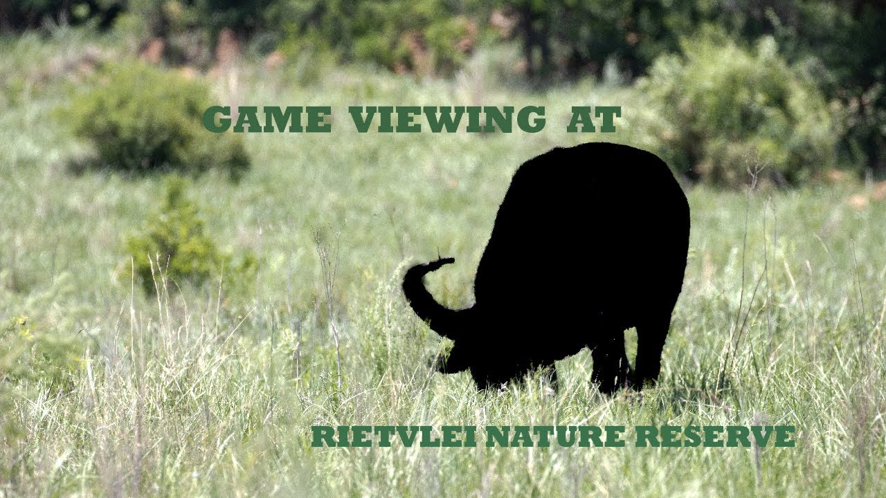 Game Viewing at Rietvlei Nature Reserve