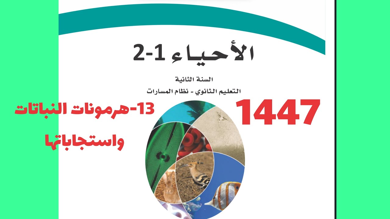 13- هرمونات النباتات واستجاباتها ( أحياء ثاني ثانوي 1447 )