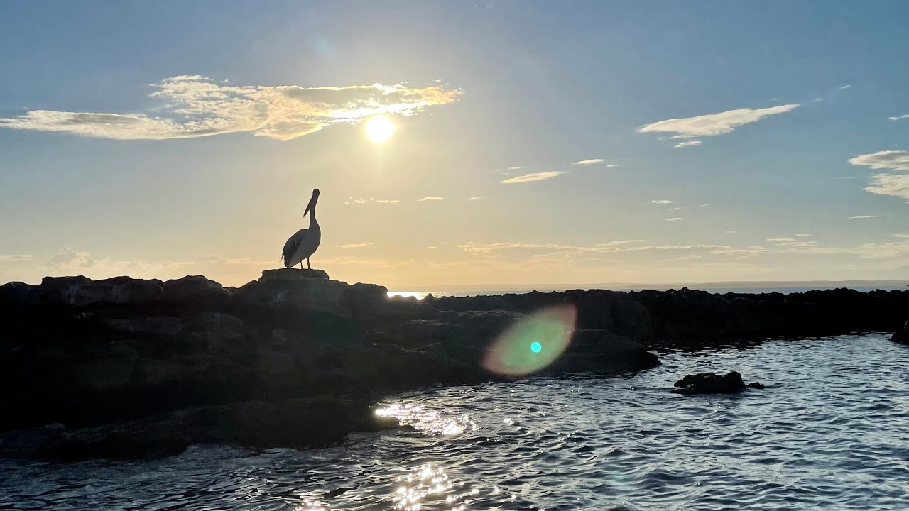 Sailing Iluka - Episode 5 - Batemans Bay to Jervis Bay, Cronulla and Sydney