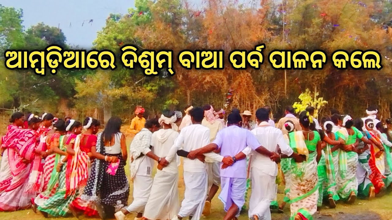 ଆମ୍ବଡ଼ିଆରେ ଦିଶୁମ୍ ବାଆ ପର୍ବ ପାଳନ କଲେ || @MrVloggerJitu 