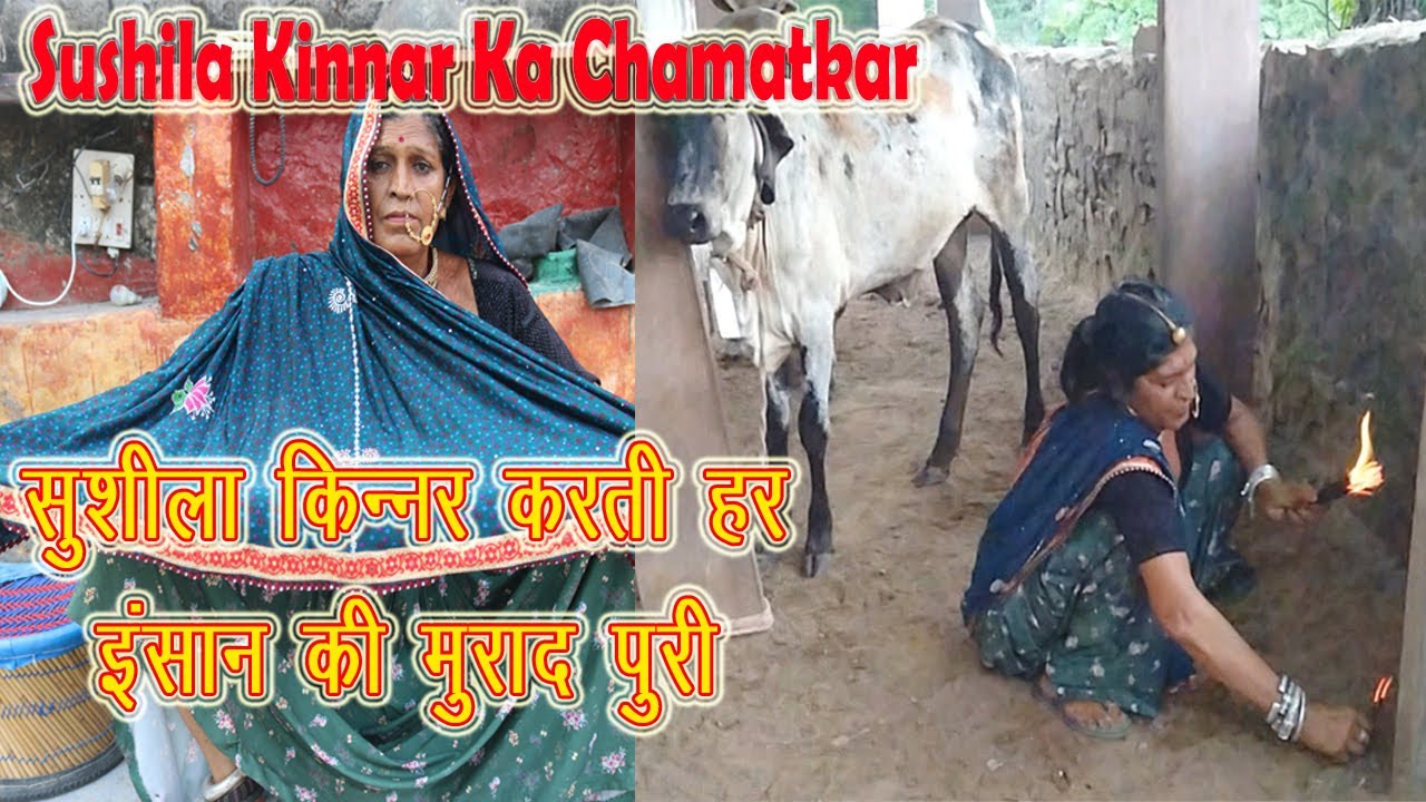सुशीला किन्नर गाय माता के चमत्कार से हर इंसान की सुख दुख की बात बताती है | Sushila Kinnar of miracle