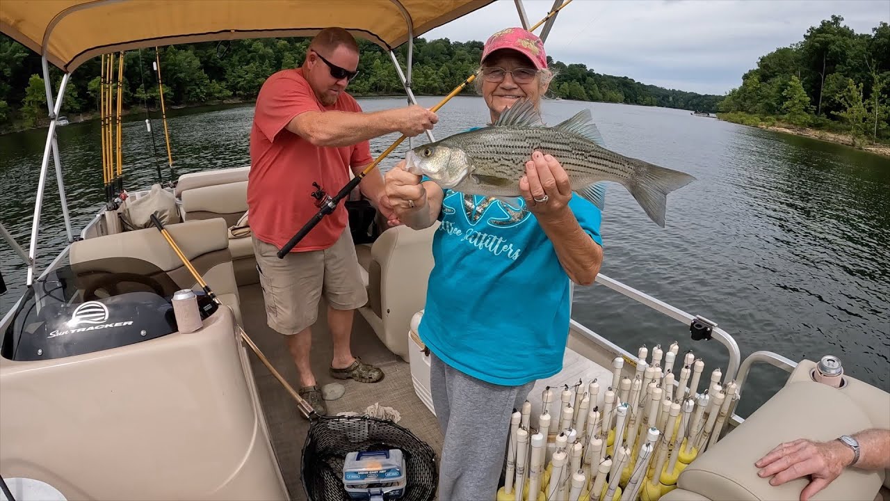 Hybrid Stripes and Cats on Rough River Lake