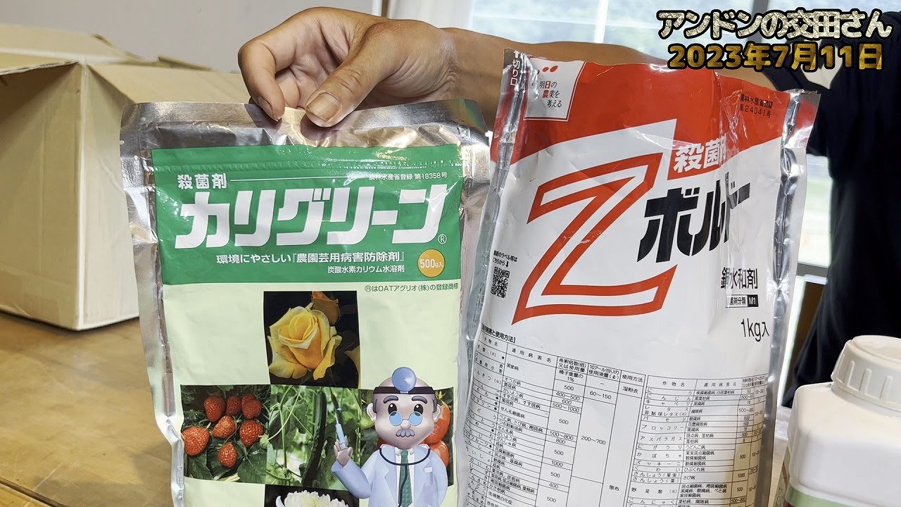 【家庭菜園・農業】有機の殺菌剤！ カリグリーンとZボルドー！ 化学合成農薬以外の農薬を使用していますが、現在使用しているその農薬を紹介(#5)！ 2023.07.11