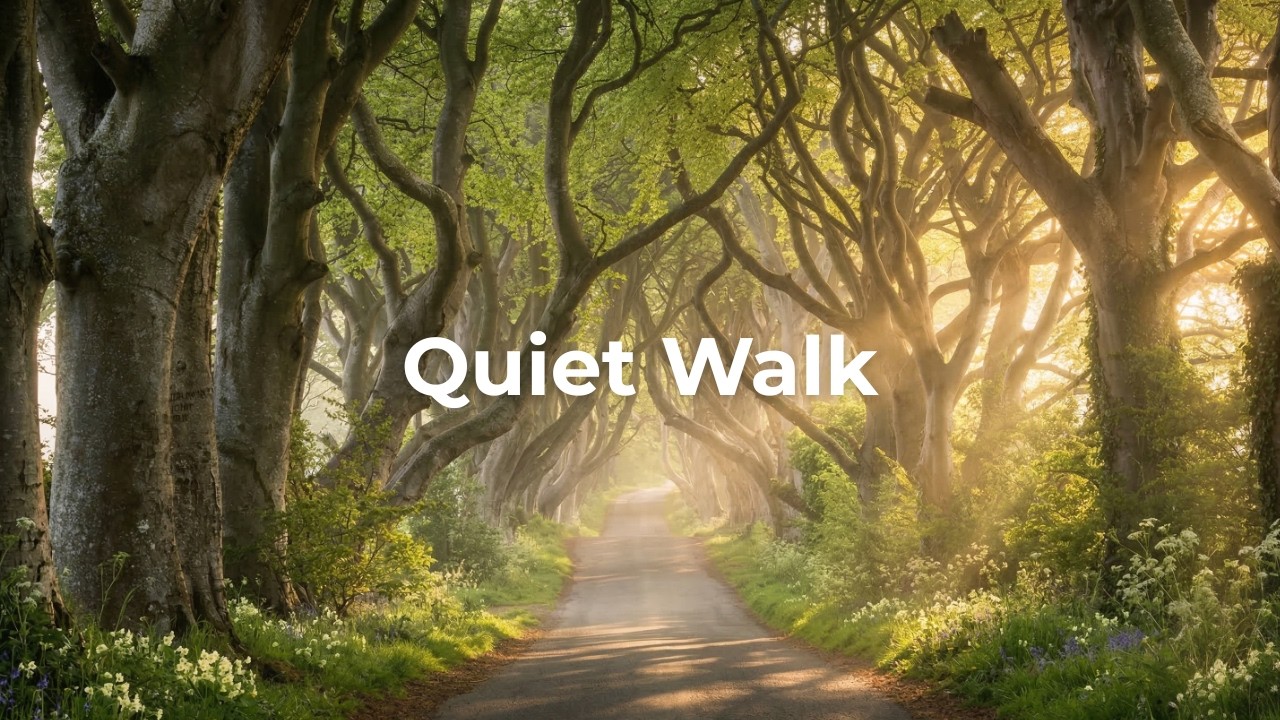 you're on a quiet spring road with wandering thoughts (classical music)