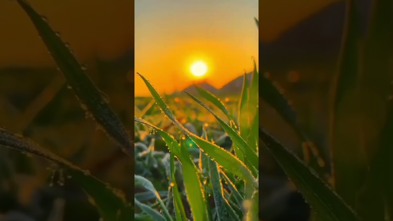 Beautifull sunset view of Malaysia chin swee temple🇲🇾#keepsupporting #subscribe #neturalviews