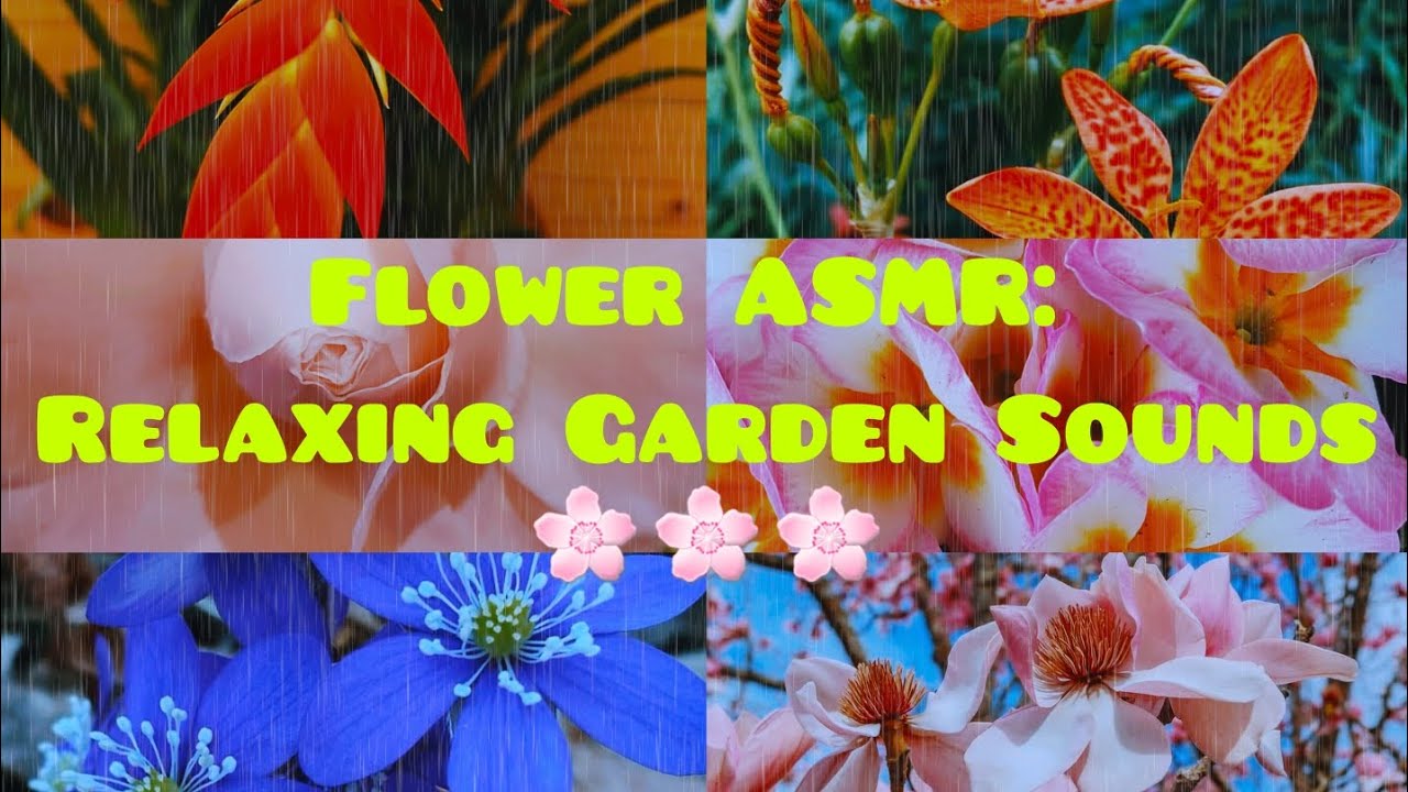Spring Garden Ambience🌸| Relaxing Flower Collection to Unwind &De-Stress