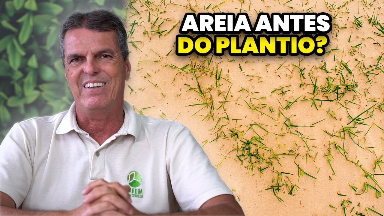 AREIA ANTES do PLANTIO DA GRAMA, É CORRETO ?