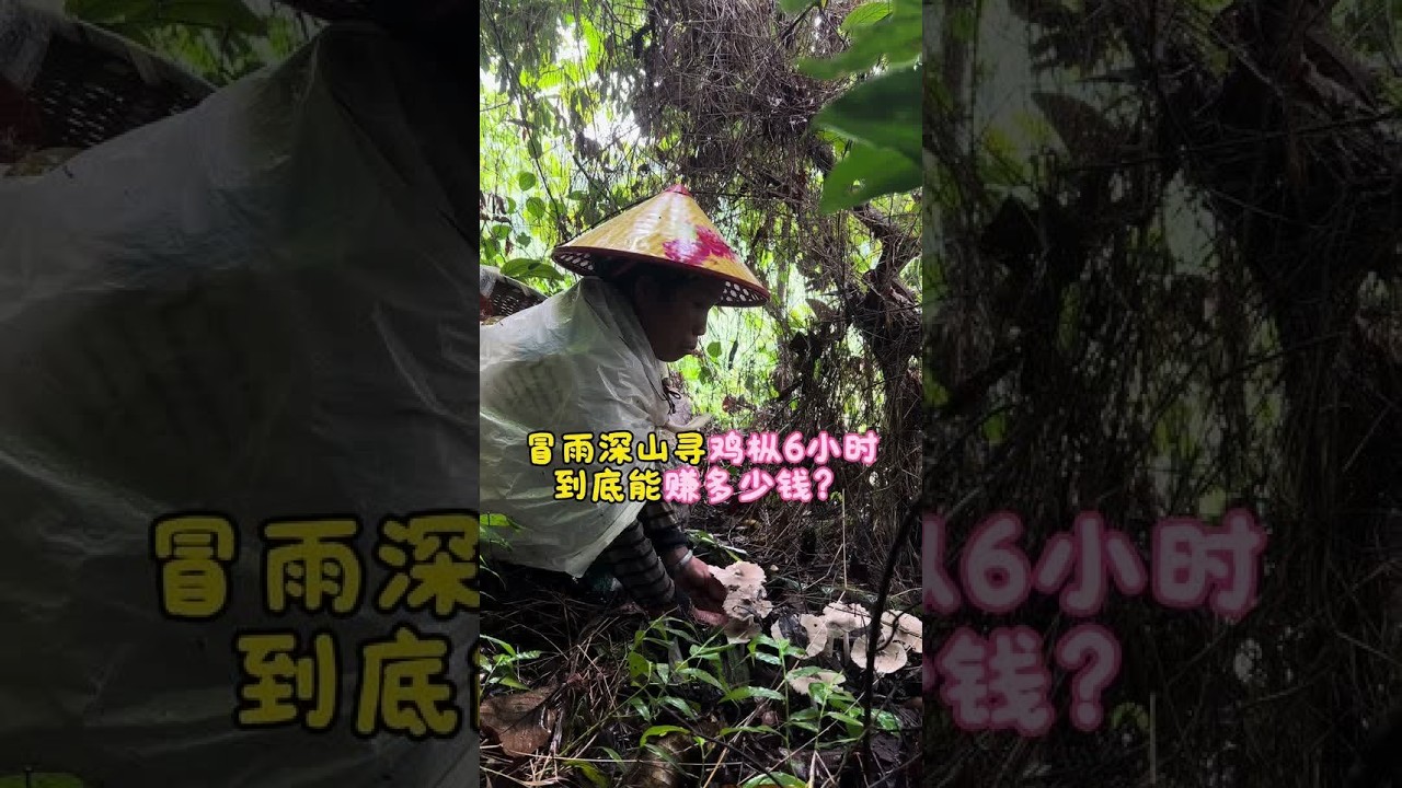 平常都是妈妈一个人去深山上找鸡枞一找就是六七个小时，大家都好奇一天下来能赚多少钱，今天我就跟着妈妈一起进深山，看看这一趟下来到底能有多少收获！#原创视频 #我的乡村生活 #日常vlog #上热门 #
