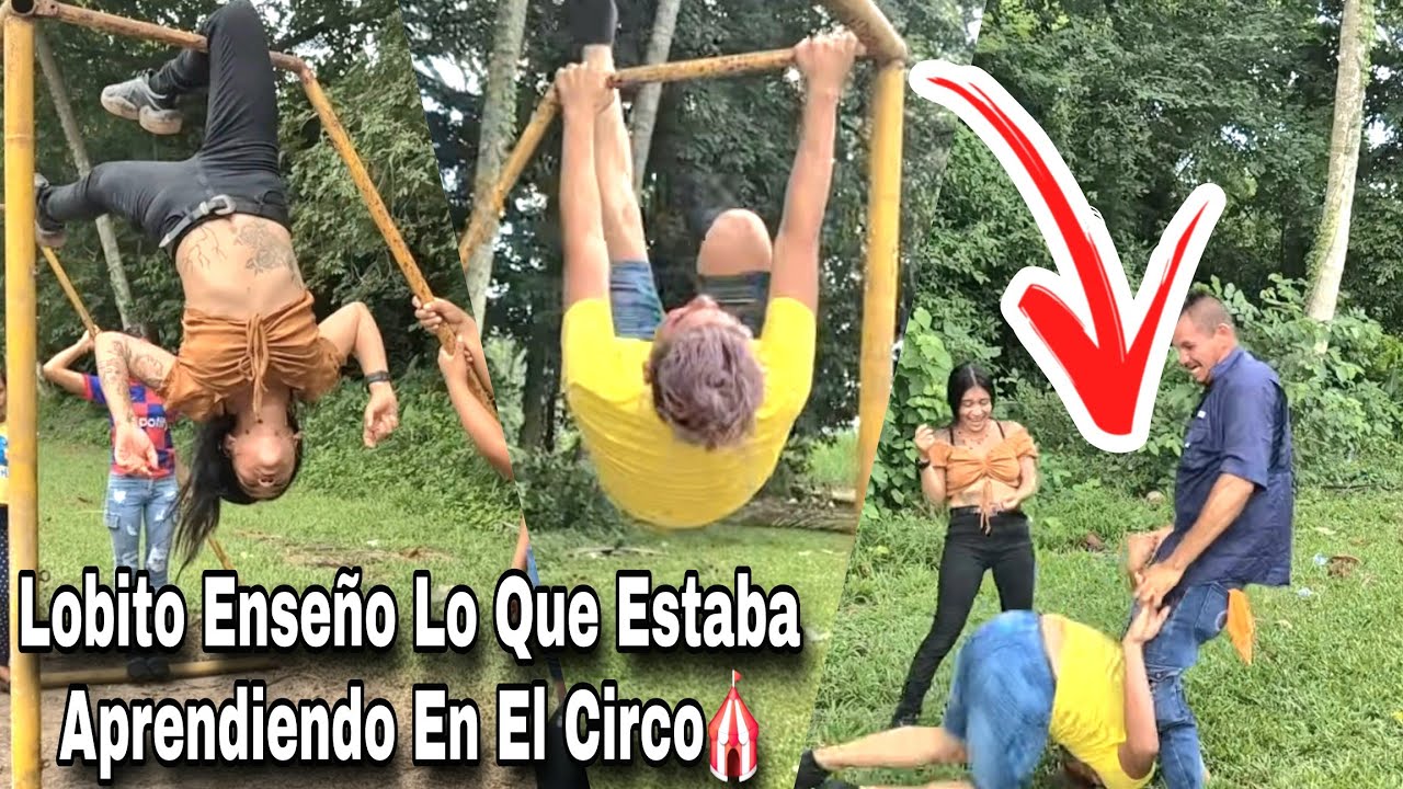 Lobito Pauloba Aqui Mostrarón Una Parte De  Lo Que Lobo Aprendio Trabajando En El Circo🎪😱