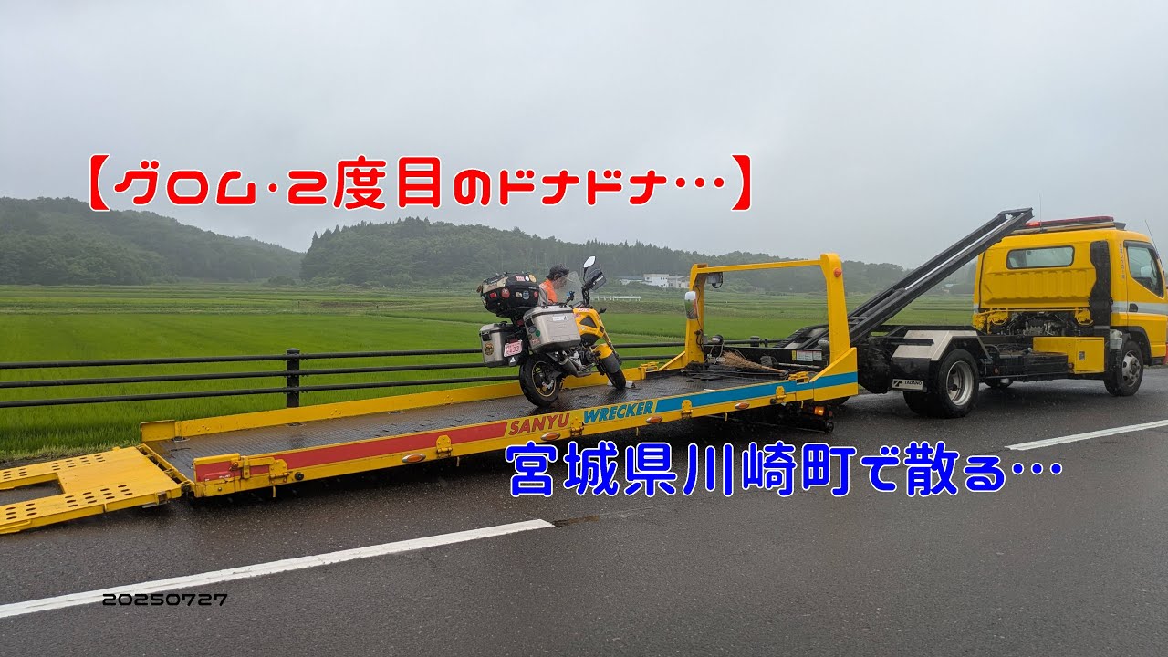 【グロム・２度目のドナドナ…】宮城県川崎町で散る…　20250727