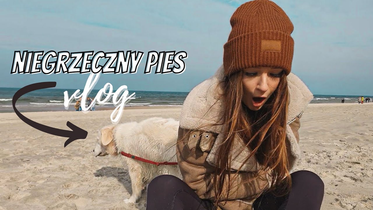 Pies narobił OBCIACHU na plaży😳