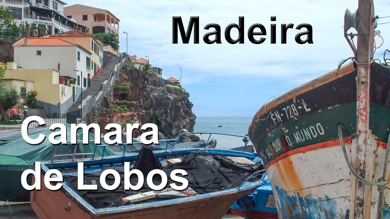 Madeira, Camara de Lobos, fishing village in Madeira. 023.