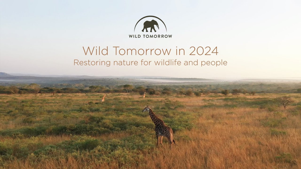 Wild Tomorrow in 2024: Restoring nature for wildlife and people.