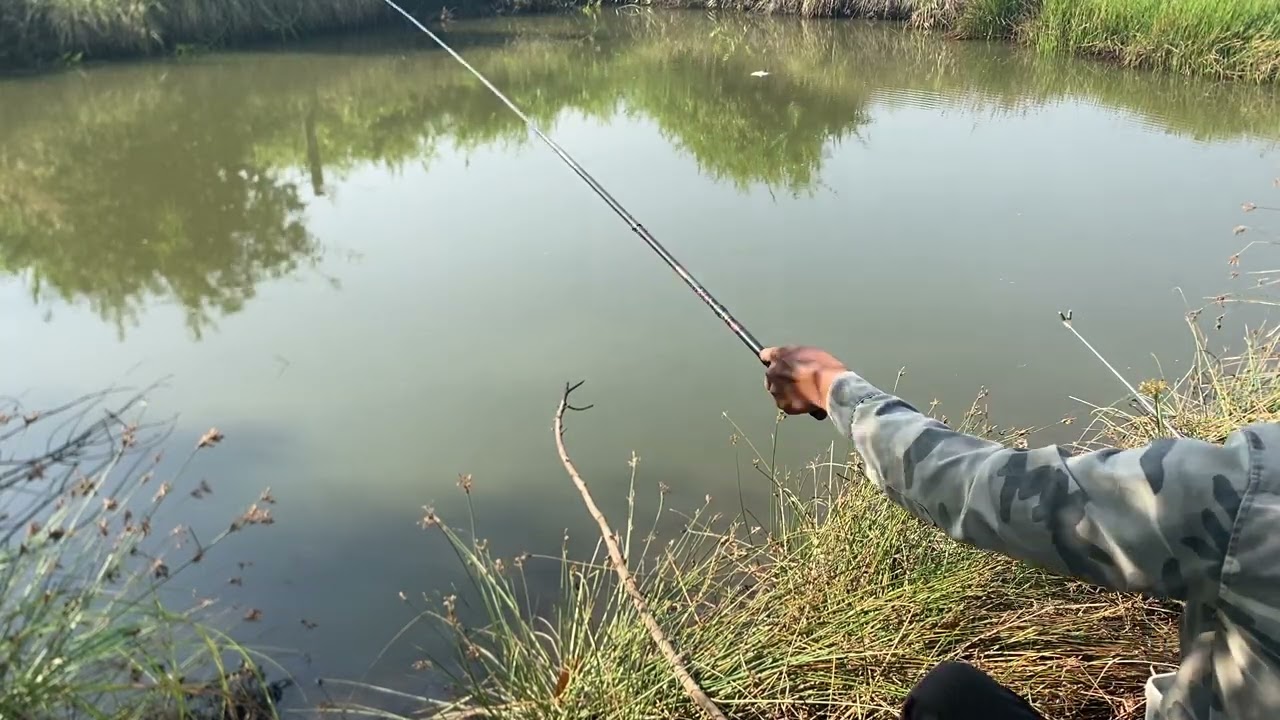 Cuối Tuần Hai Anh Em Ra Điểm Củ Săn Hàng Cá Xì Tim Thấy Mà Ham / Thả Xuống Lên Hàng 