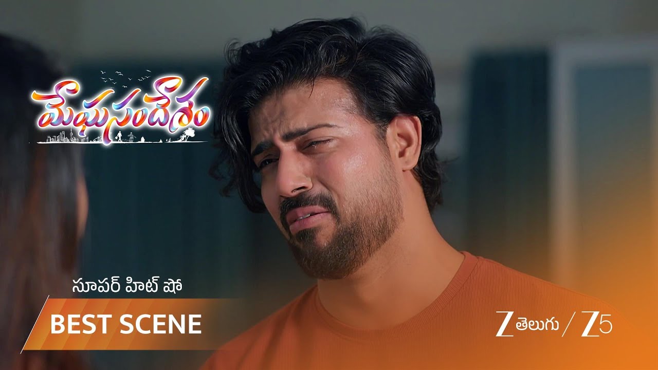 MEGHASANDESAM | భూమి తన ప్రేమను ఎందుకు అర్థం చేసుకోవడం లేదని బాధపడుతున్న గగన్