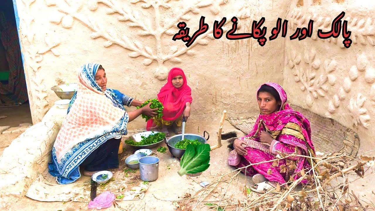 How to cook spinach and potatoes | پالک اور الو پکانے کا طریقہ | Ariba Village Family