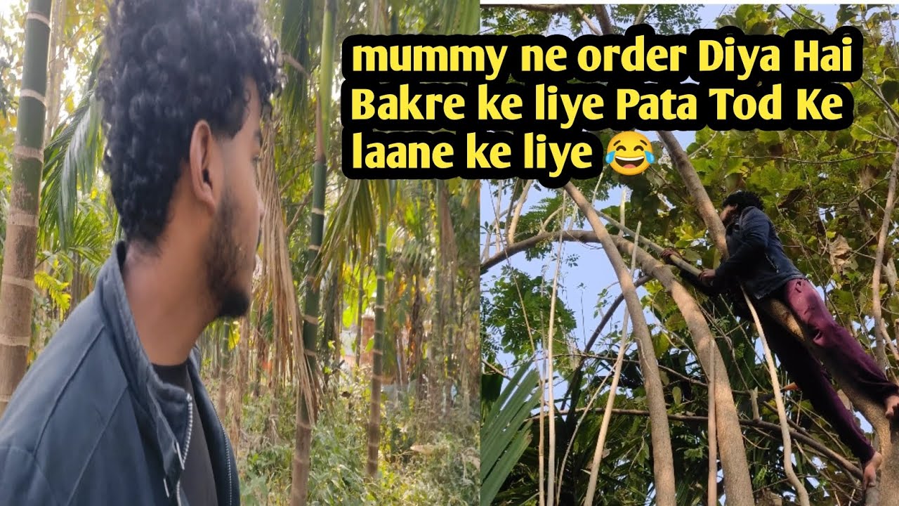 Bakre ke liye patta tod ke laane ke liye 