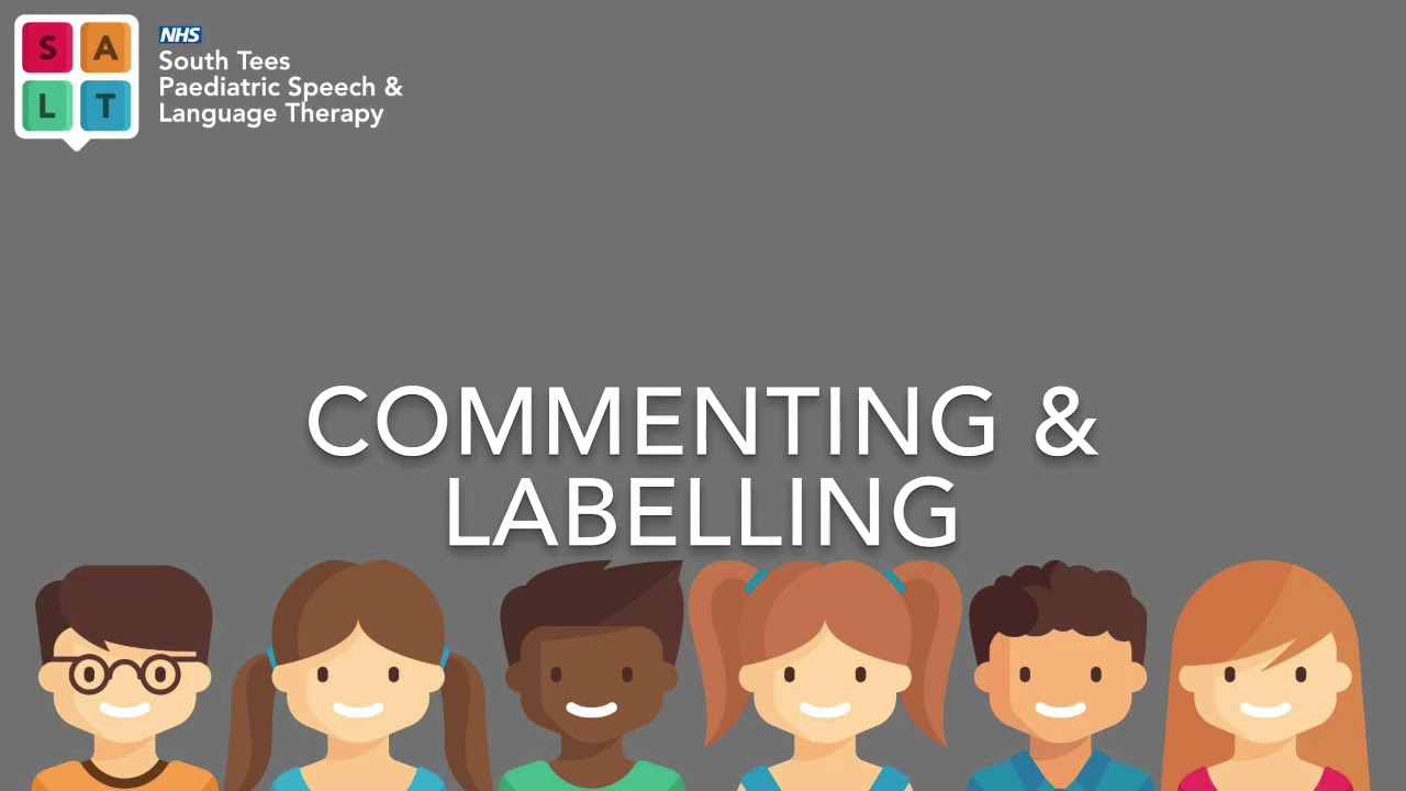 Commenting and Labelling