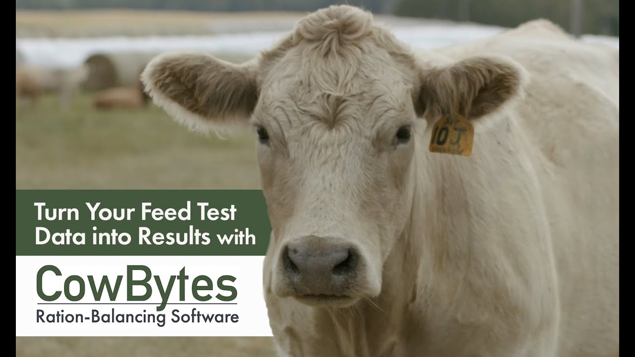 CowBytes Ration-Balancing Software