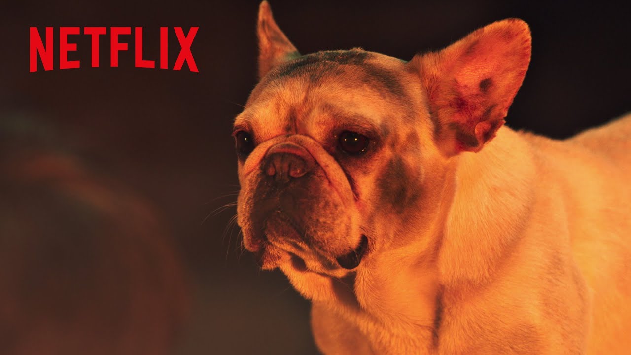 最低な元飼い主と地獄で再会した捨て犬がとった行動 | 君は天国でも美しい | Netflix Japan