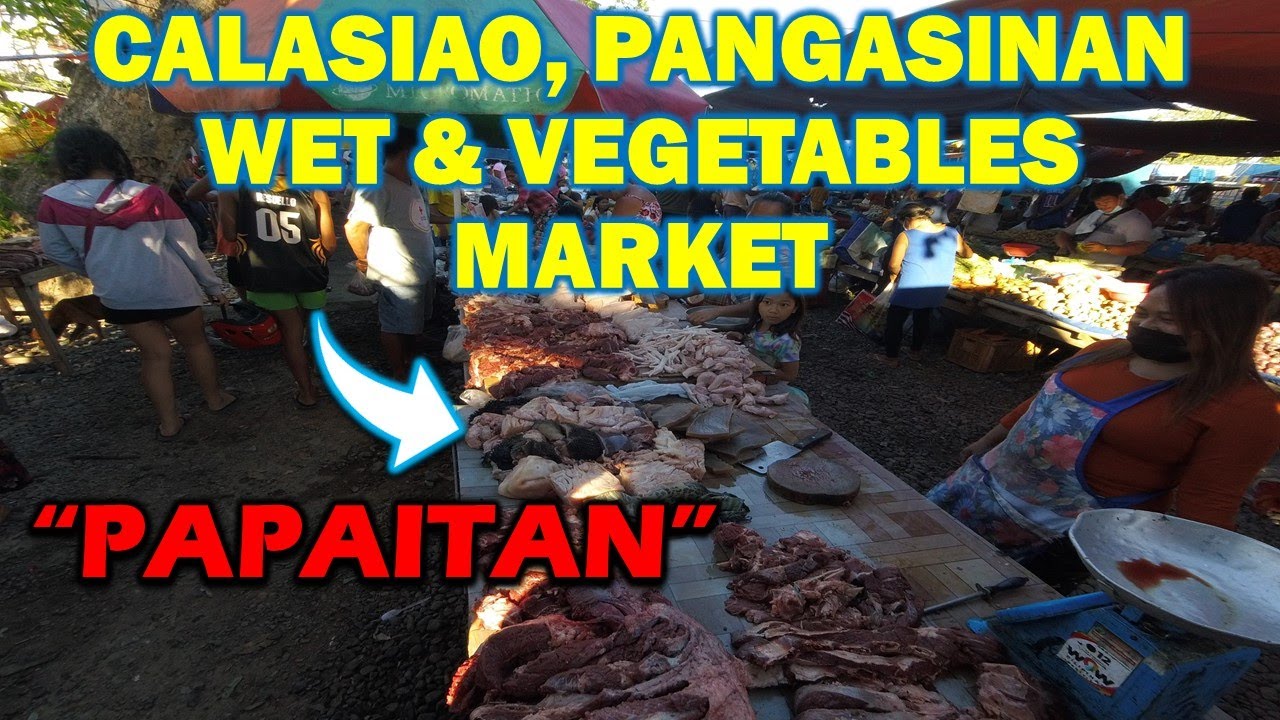 WET AND VEGETABLE MARKET-CALASIAO, PANGASINAN-PALENGKE TOUR-PAPAITAN-SEAFOODS-GULAY-TEAM GSB-VLOG#22