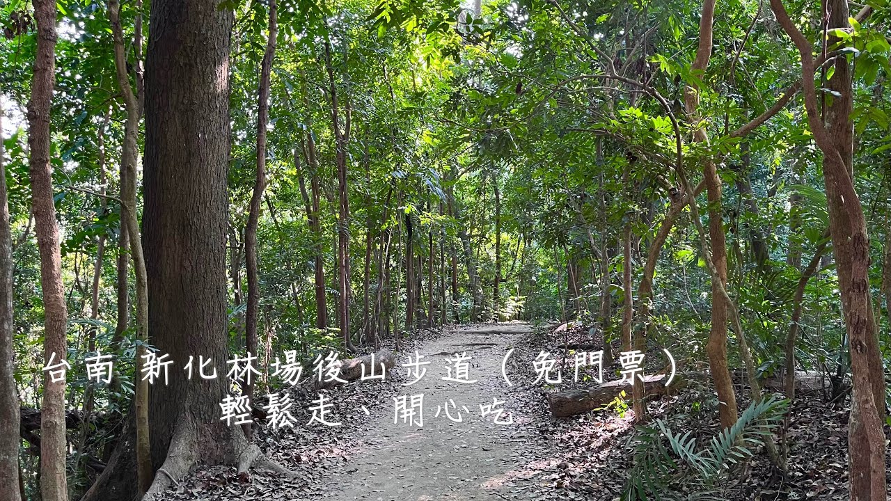 台南新化林場後山步道～悠閒半日遊