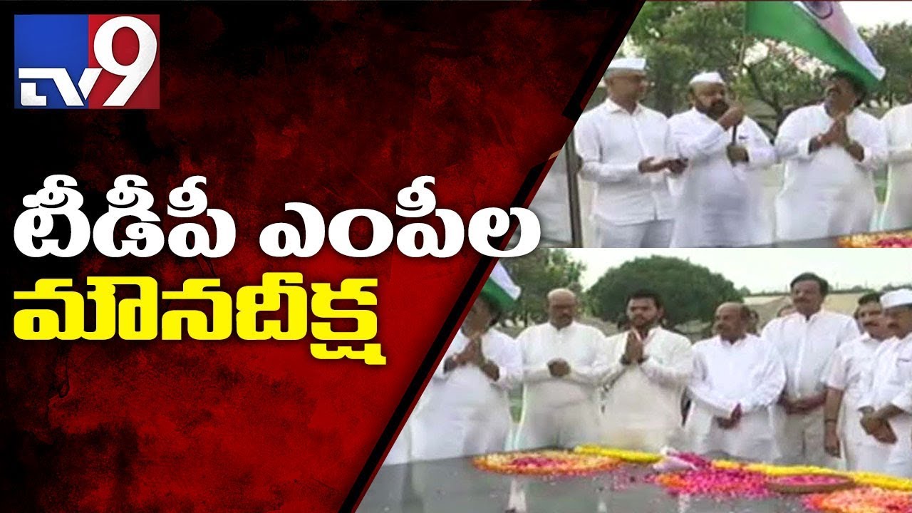 AP special status fight || TDP MPs take pledge at Rajghat - TV9
