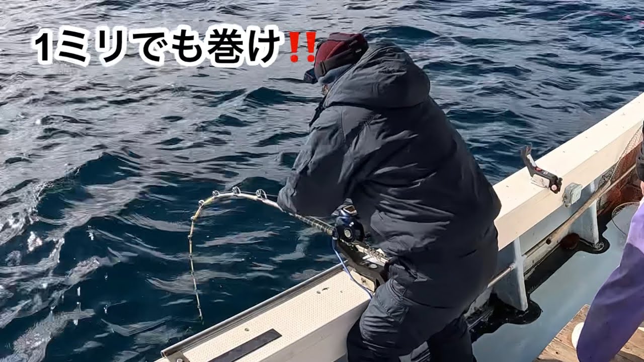長崎県野母崎沖にて、活きイカで高級魚アラ（クエ）を狙う‼️