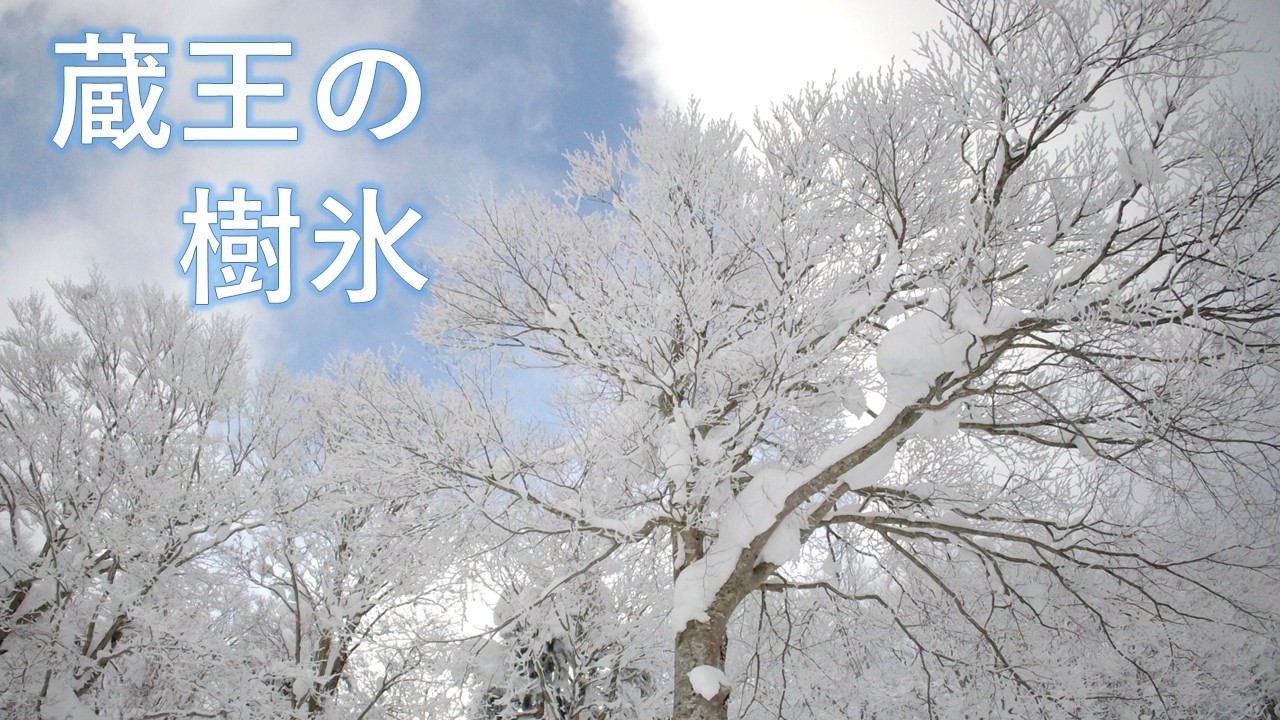 【旅ログ】蔵王の樹氷