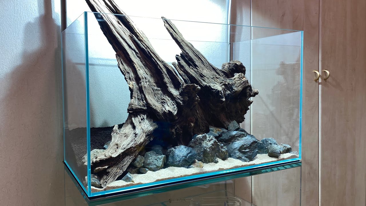 ADA 60P Creating a Classic Nature Aquarium Style Aquascape with Giant Driftwood