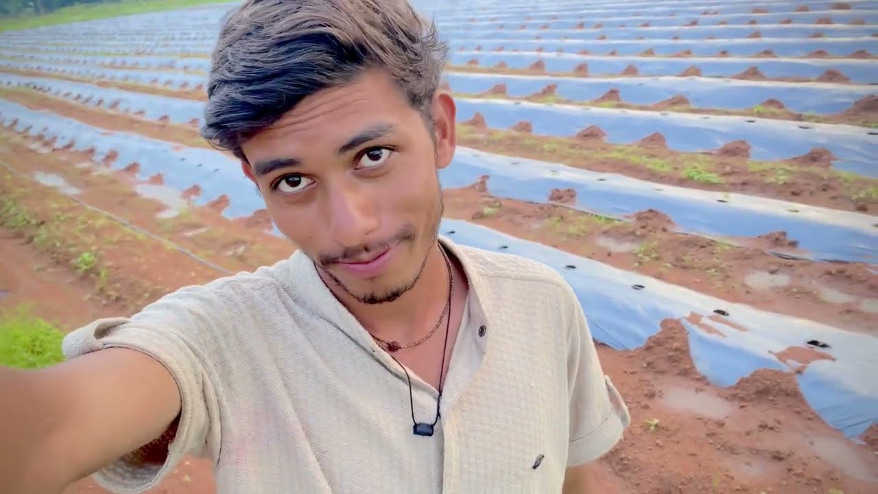 Mirchi ki nursery ￼Taiyar  kaise Kare || ￼ mirchi ki Kheti 🧑&zwj;🌾 || ￼ mirchi ka plot  @Itz_Pushhu_09 