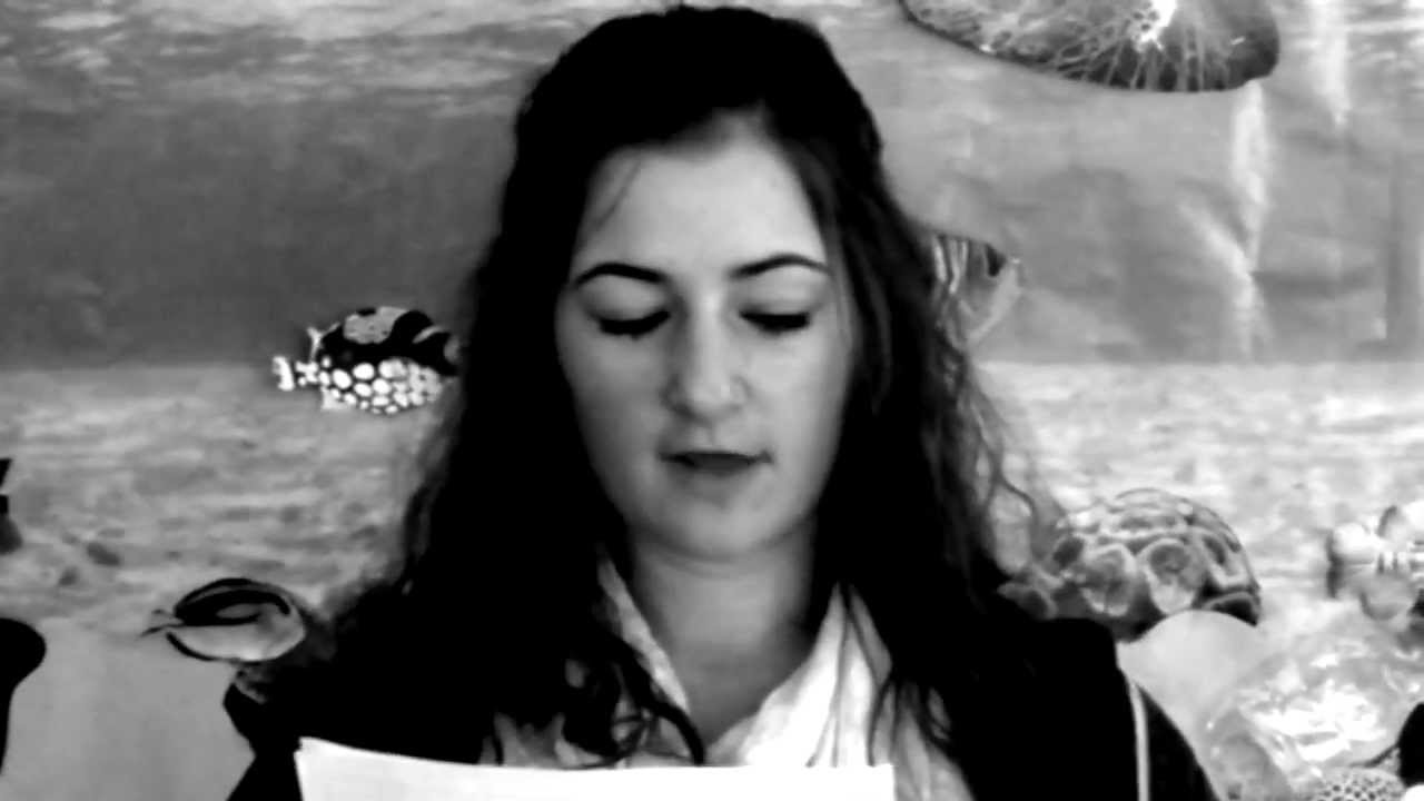 MICCI - The Moorland Indicators of Climate Change Initiative (November 2011)