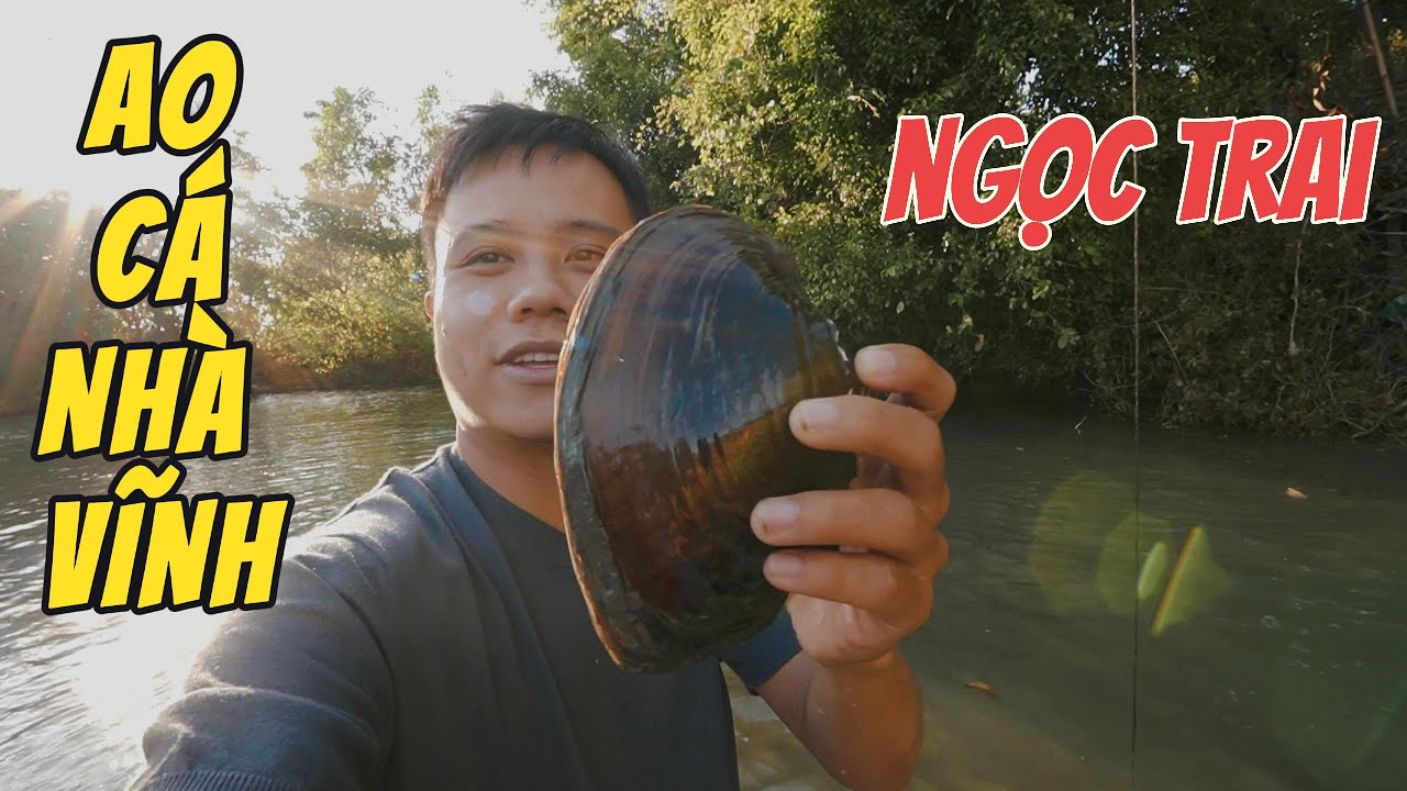Kéo Lưới Bắt Cá Trên Ao Nhà Vĩnh - Toàn Cá To Khủng và NGỌC TRAI.
