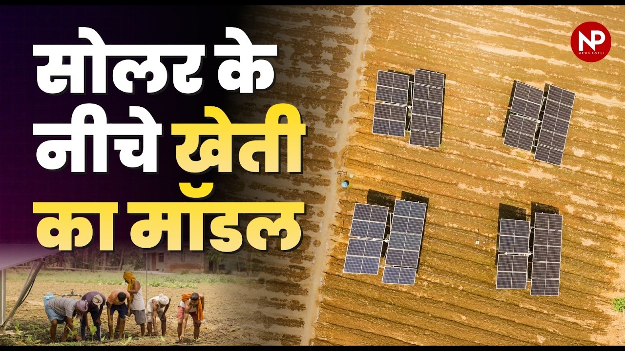 How Bihar Farmers Are Reaping Dual Profits with Solar-Powered Community Farming || Agrovoltaics