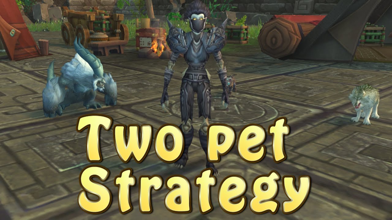 Shademaster Kiryn (Celestial Tournament) Two Pet Strategy Guide