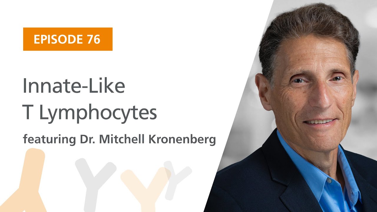 Innate-Like T Lymphocytes featuring Dr. Mitchell Kronenberg | The Immunology Podcast