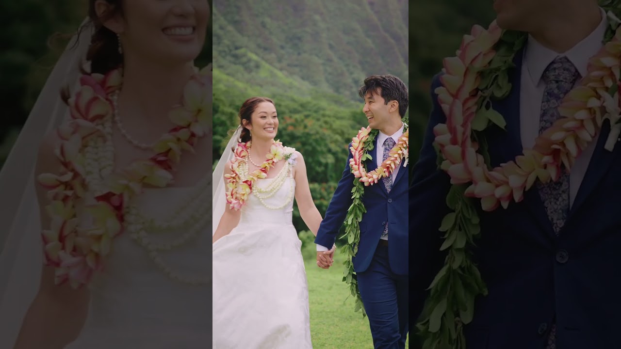 A cinematic wedding experience 🌿 
