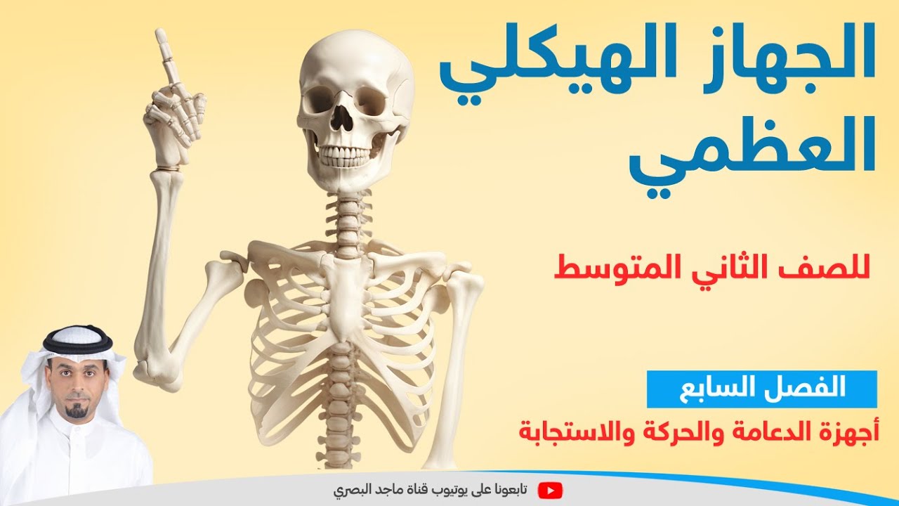 الجهاز الهيكلي العظمي