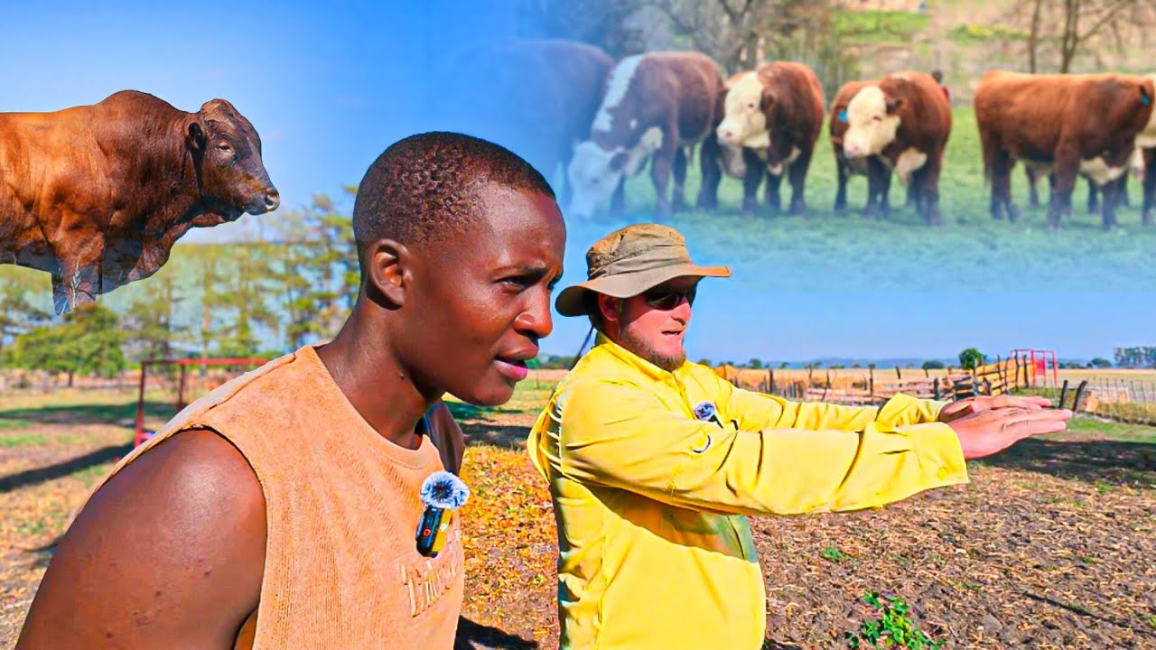 From Working For His Father to Owning His SUCCESSFUL Cattle Farm
