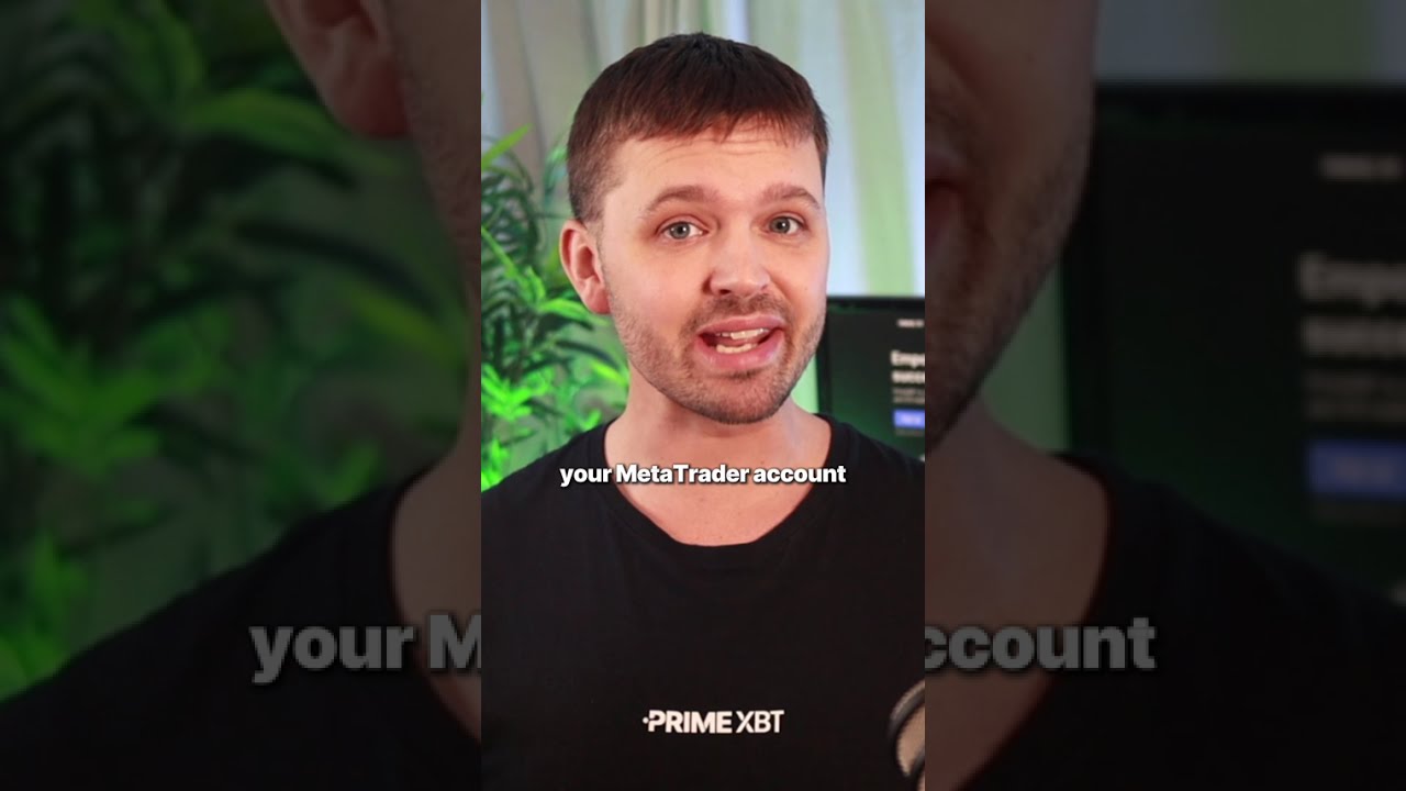 Как торговать на MetaTrader5 с помощью PrimeXBT