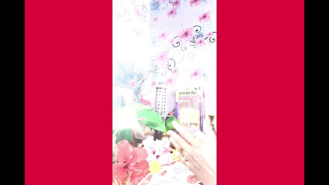  Hi all Thank you for watching me. For personal reading book on this number 9583307797.📿🧿🔮♥️🙏 
