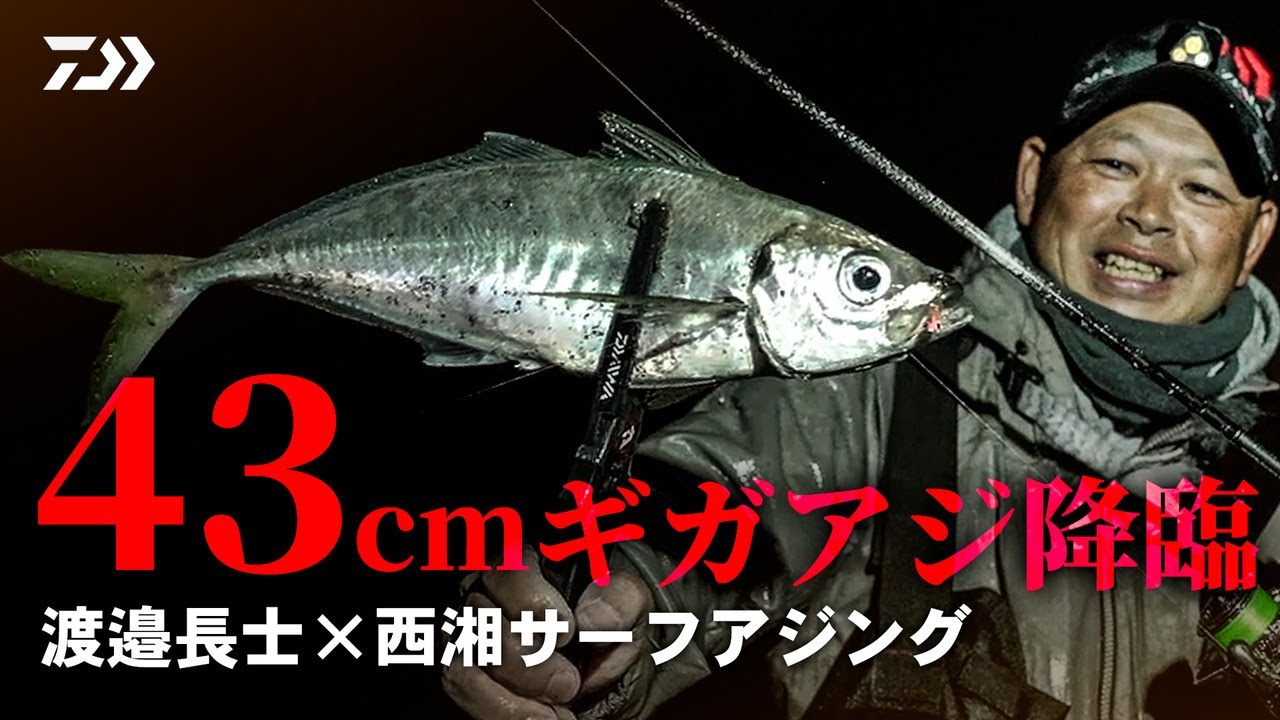 [アジング] 43cmギガアジ降臨！渡邉長士の西湘サーフアジング