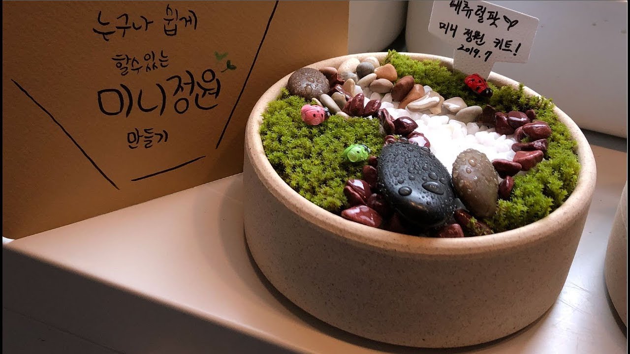 6개월만에 출시한 미니정원이끼키트 언박싱! [내츄럴팟]