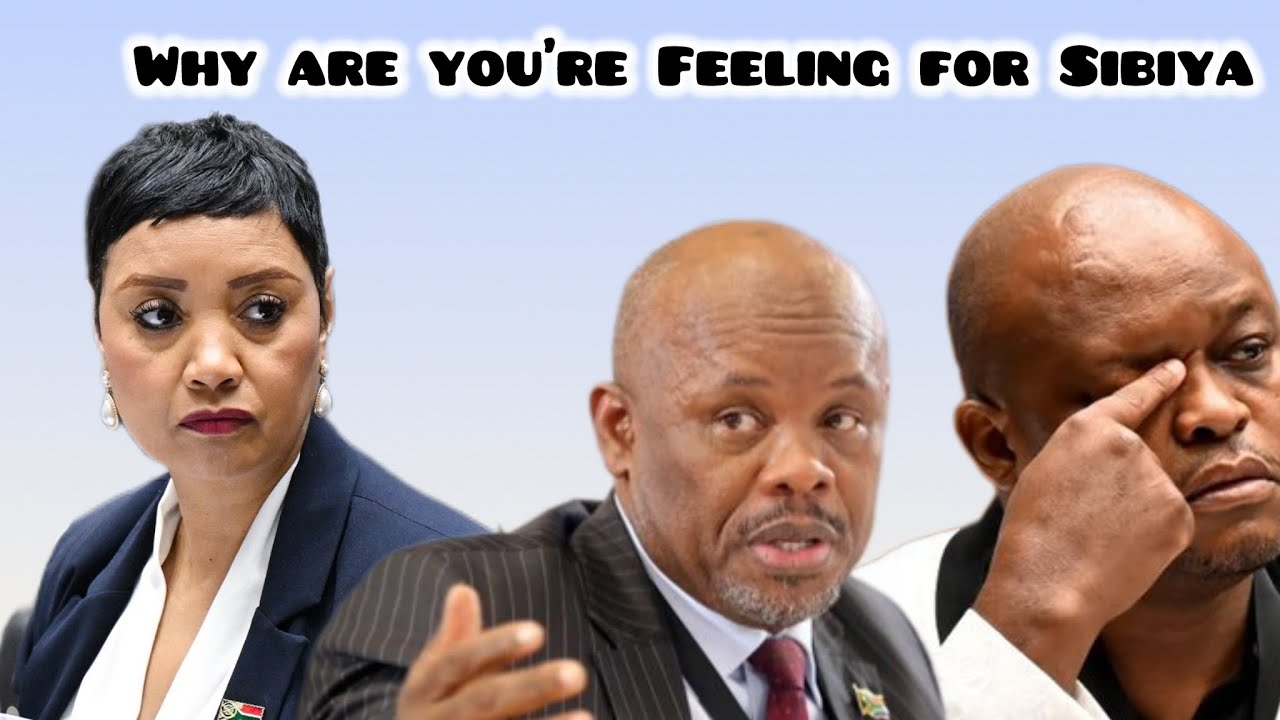 Hon James vs Brown Mogotsi | we have a criminal appear before us today 