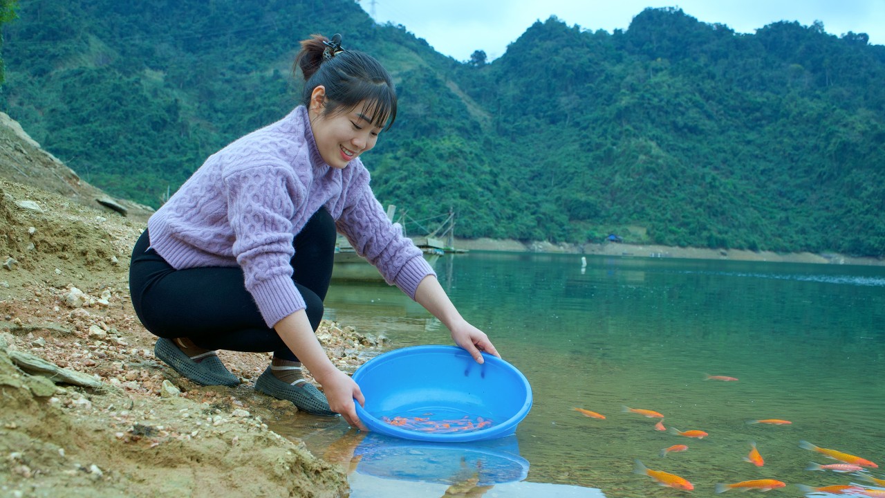 A Special Day on the Lake – Releasing Carp into the Water