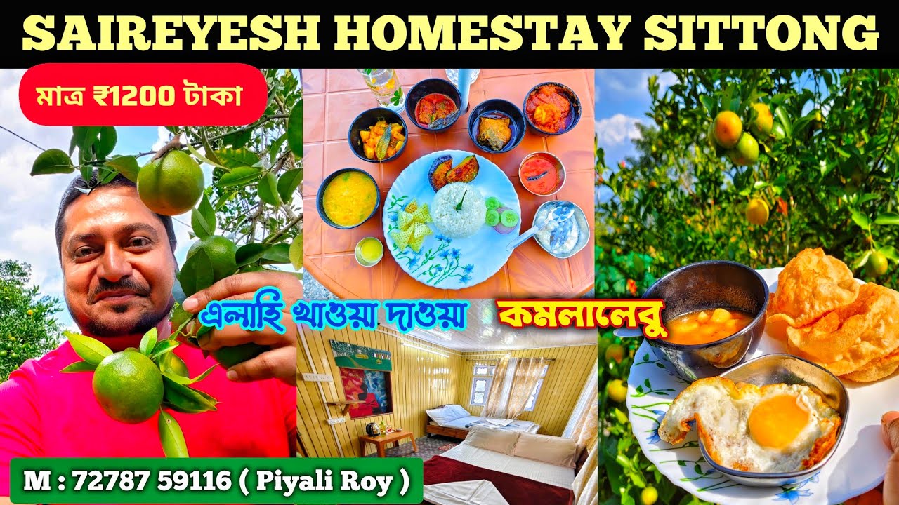 SAIREYESH HOMESTAY SITTONG 🏡 আলু পোস্ত, ধোকা, কাতলা,চিকেন,ঘন দুধের পায়েশ দিয়ে মাত্র ₹1200 টাকায় 🍊😋😱
