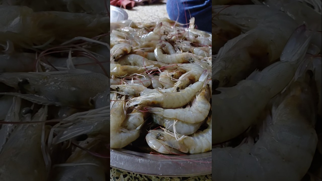 10 kg fresh prawns &hearts;️💃 what shall I make 🤔💃&hearts;️ @Shanthishenoyvlogs #prawns #freshwaterfish