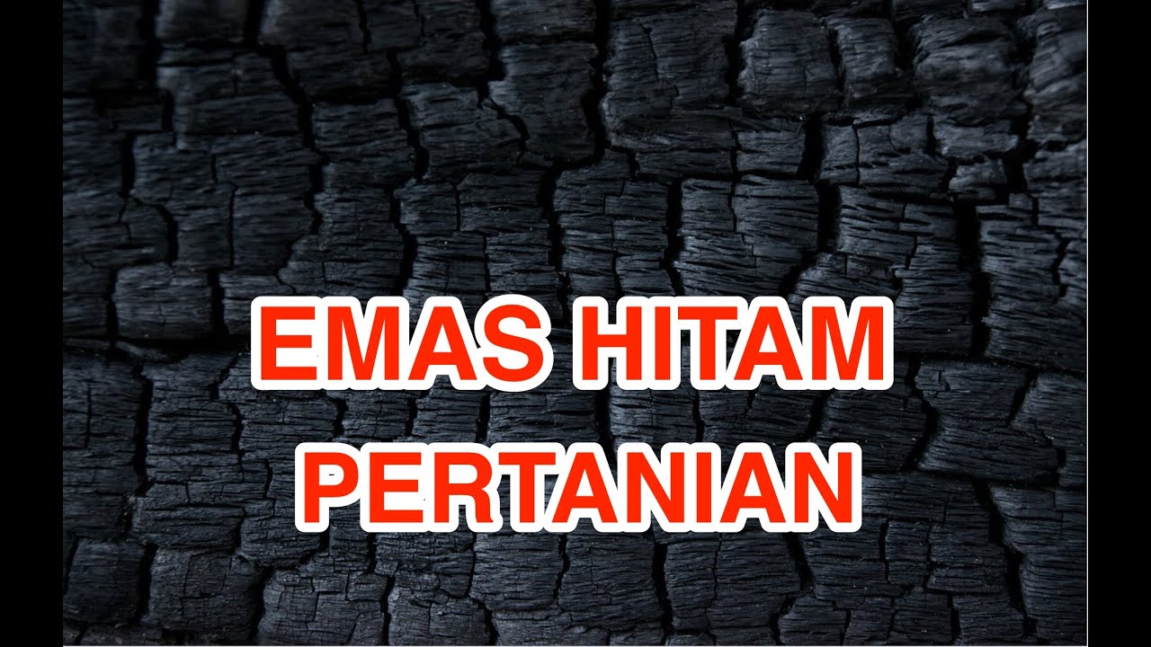 Rahasia Kemampuan Arang Menyuburkan Tanah dan Media Tanam